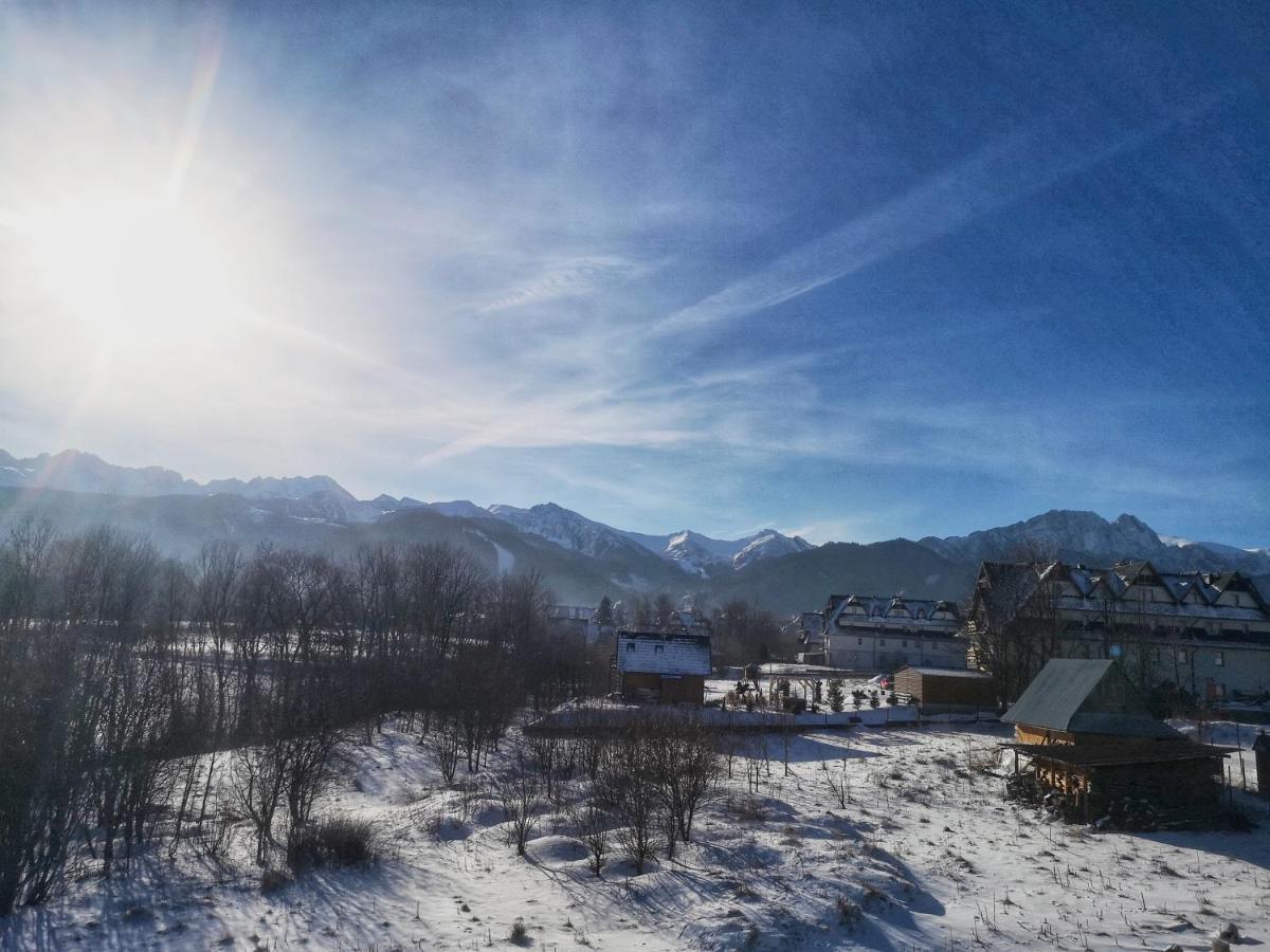 Villa 84 & Apartments Jacuzzi & Sauna Zakopane Dış mekan fotoğraf